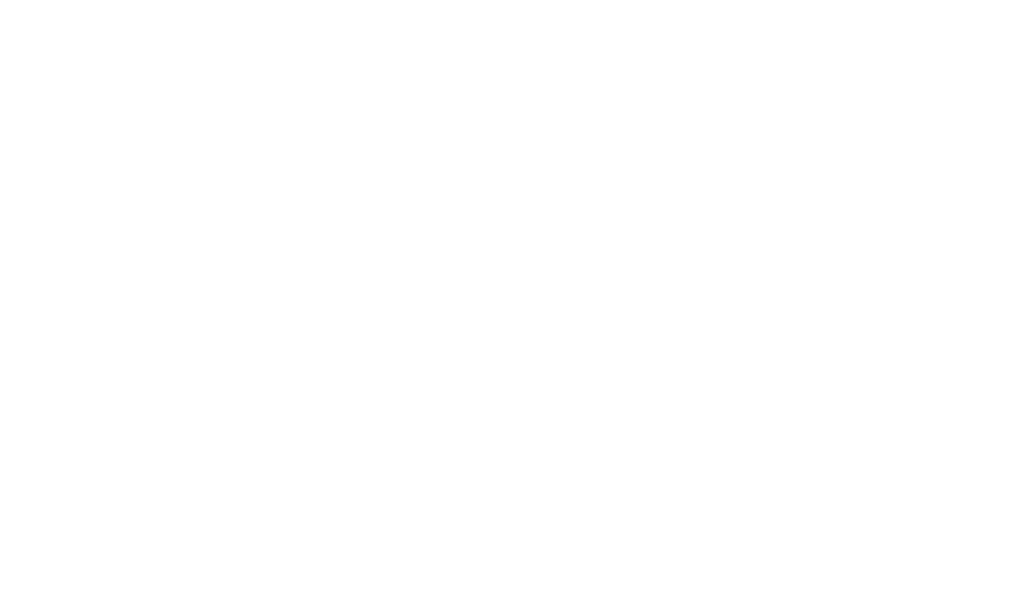 Logotipo Nautipic - Excursiones por Ibiza y Formentera